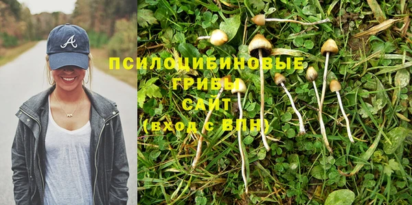 apvp Абинск