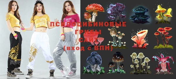 соль курить ск Алзамай