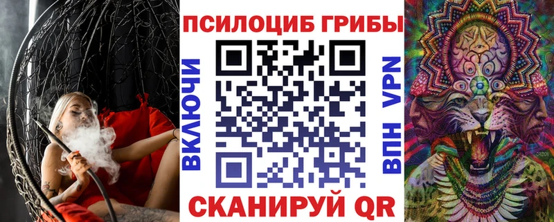 дарнет шоп  Тюкалинск  Псилоцибиновые грибы мухоморы 